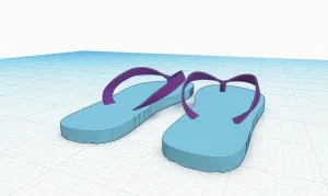 flip flops