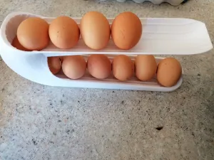 egg dispenser