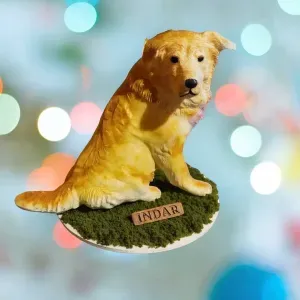 Golden Retriever crossed with Basque Shepherd (Indar)