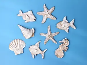 Nautical Fridge Magnets