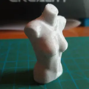 Female Torso Mannequin