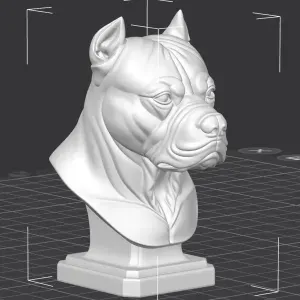 American Pitbull Terrier Bust High Quality