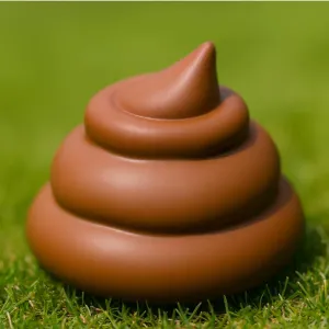 Poop