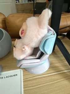 Labubu Car Seat