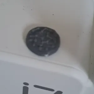 cookie 3d model