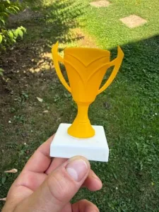 Beautiful Cup Winners trophy