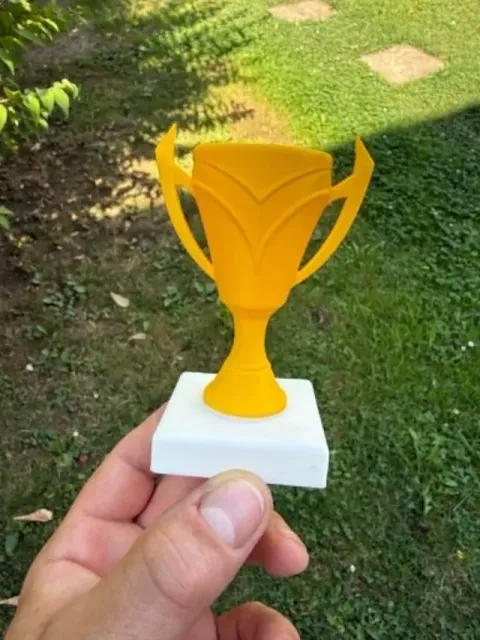 Beautiful Cup Winners trophy