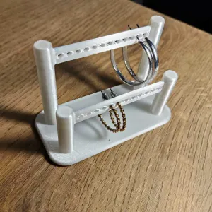 Earrings holder