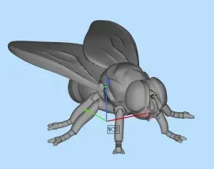fly
