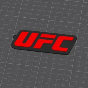 UFC keychain