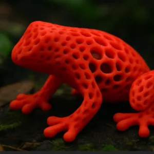frog