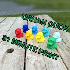 Mini Urban duck