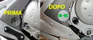 2613_Copertura Forcellone Kawasaki ER-6n