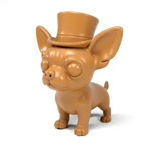 Funny Chihuahua dog