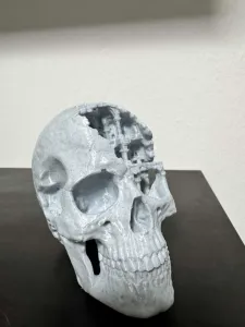 skull with architecture 3d model