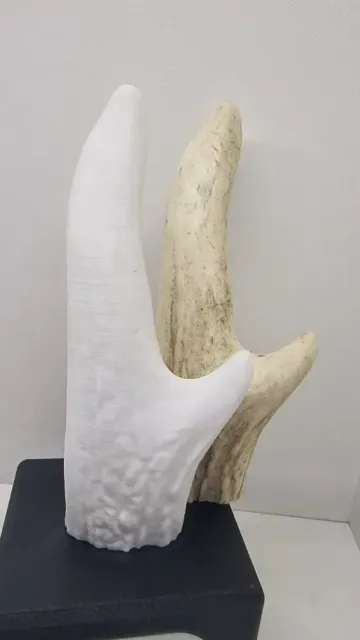 High-Quality 3D Scan of a Deer Antler – Printable STL