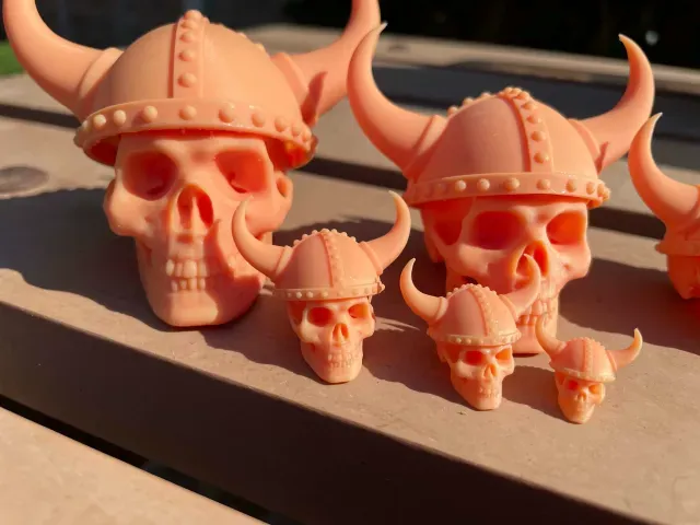 Viking Skull and Viking Helmet — Image 2 of 6