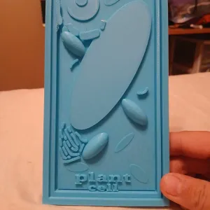 plant cell model