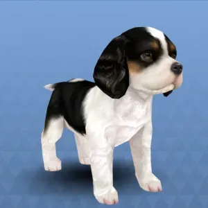 Cavalier King Charles Spaniel from Nintendogs + Cats