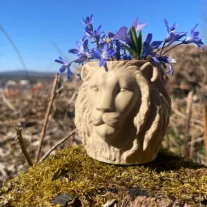 LION Vase-POT