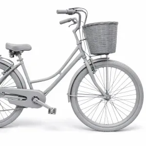bicicleta con canasta