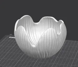 Petal Wave Decorative Bowl