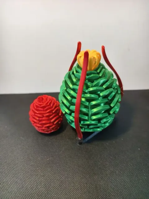 DC-Crown Pinecone — Image 2 of 6