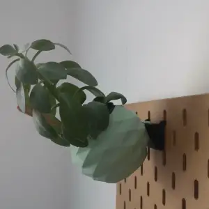 Skadis Pot for Flowers and Plants