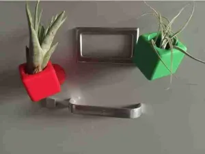 Air Plant Holders