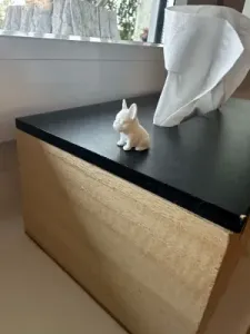 Mini French Bulldog – Fast Print Detailed Puppy
