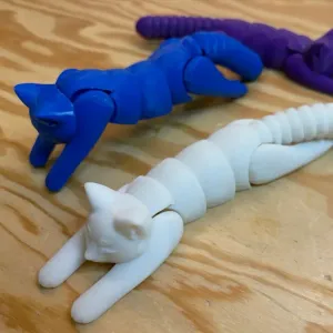flexi cat