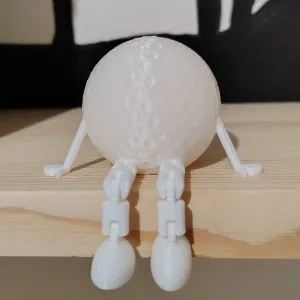 Golf ball buddy