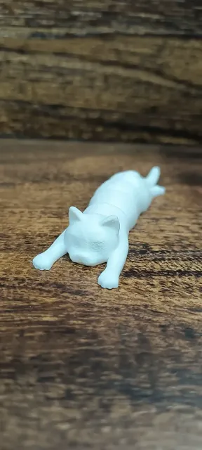 cat flexi