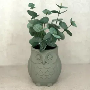 Wise Owl Planter – A Hoot for Your Succulents!