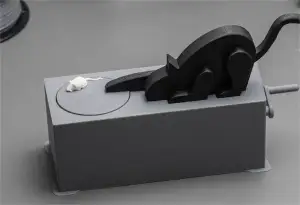 Cat and Mouse Toy