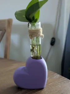 Heart-Shaped Plant Vial Holder 25mm
