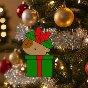 Capybara Gift