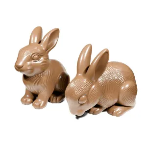 Rabbits