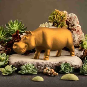 Hippopotamus