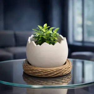 Broken Egg Planter | Easter Egg Pot in Nest