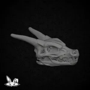 Charizard Realistic Skull - Bone Series