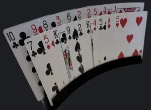 Curved Playing Card Holder