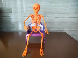 关节可活动拼装骨架骷髅