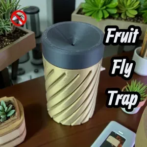 Fruit Fly Trap
