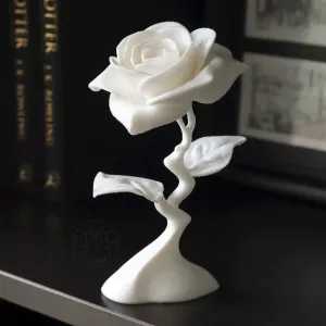 Modern Rose