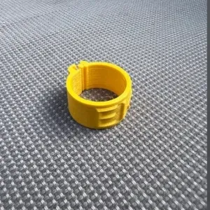chicken leg band