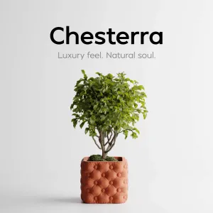 Plant Pot Chesterra – Luxury feel. Natural soul.d