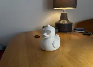 Cool Duck 3D Model