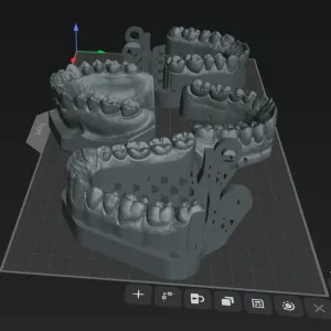 dental