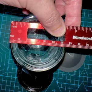 Fruit Flies Mason Jars_Pest Control